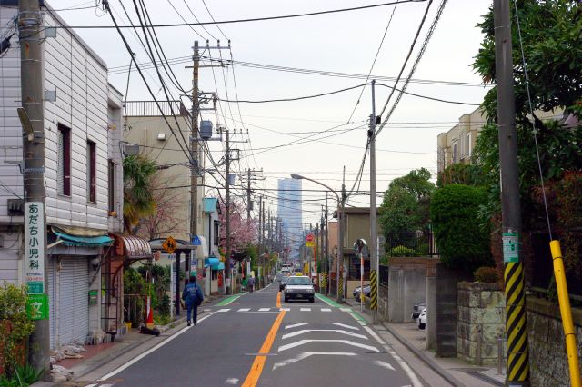 尾根伝いの直線道の正面には横浜ランドマークタワー。少し先に桜台小学校があります。