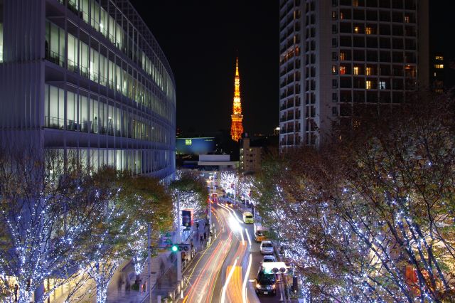 けやき坂の逆側は、ビルの合間から東京タワーが顔を出していた。