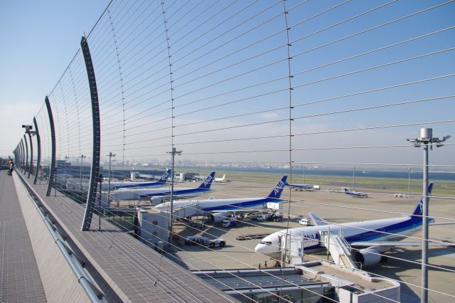 羽田空港第２ターミナルの写真ページ