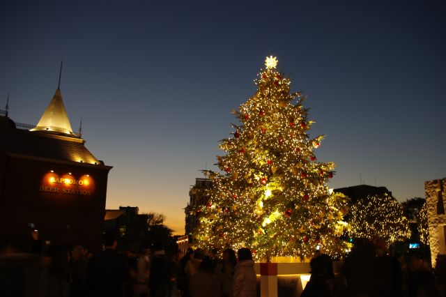 夕空に映えるクリスマスツリー。多くの人が集まって撮影していました。