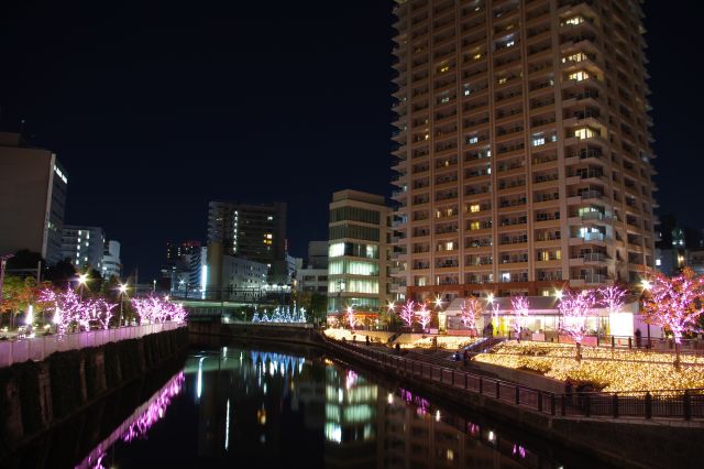 五反田駅近くの橋の上から。右側のメイン会場の「五反田ふれあい水辺広場」は光の平原。