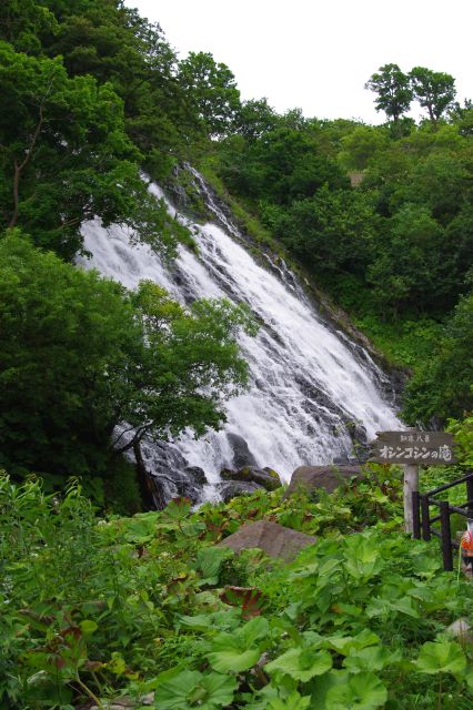 三段の滝の先のトンネルを出てすぐに、日本の滝100選にも選ばれている「オシンコシンの滝」があります。