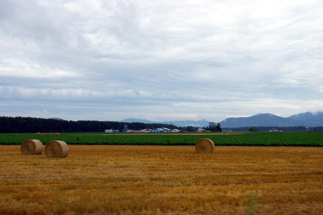 曇り空の下、網走湖・能取湖を経て西へ。道内では牧草地にロール状の藁をよく見かけます。