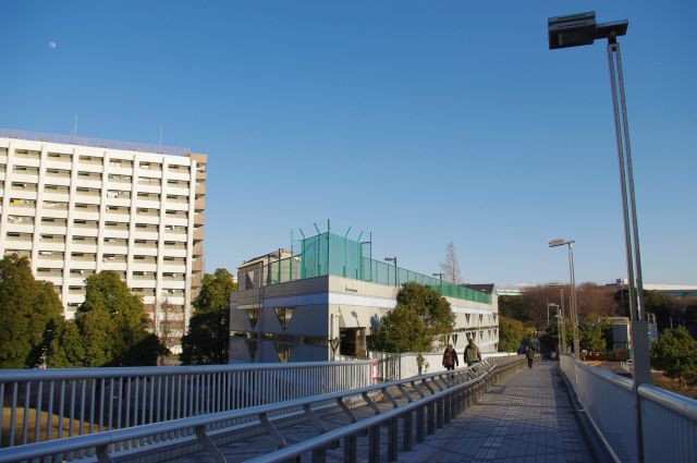 橋の曲がり角から辰巳駅方向を振り返る。辰巳側の島には東雲のような高層マンションはなくて風景が異なる。