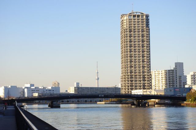 辰巳橋の向こうには東京スカイツリーが見た。川沿いは見晴らしが良いので見えやすいんですね。