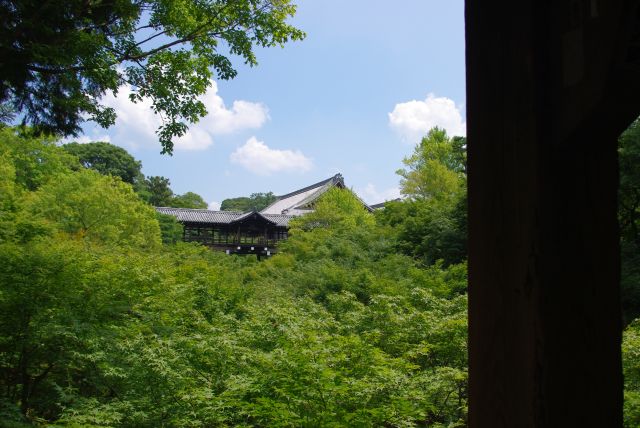 臥雲橋の下は渓谷で、豊かな緑の木々と東福寺の通天橋が見えます。
