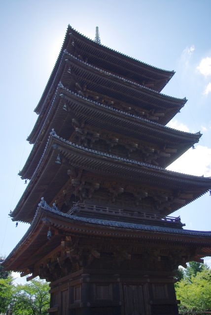国宝の五重塔を見上げる（もろに逆光…）。高さは54.8mで木造の塔としては日本一。