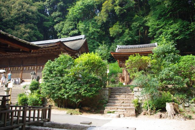 拝殿横より。奥には左から本殿と摂社「春日神社」
