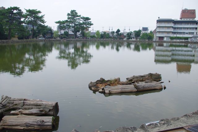 南都八景の１つに選ばれている猿沢池。