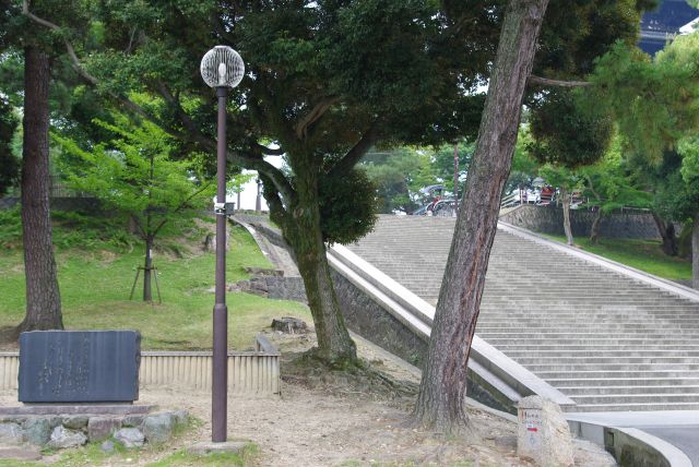 興福寺の階段「五十二段」を下って猿沢池へ。