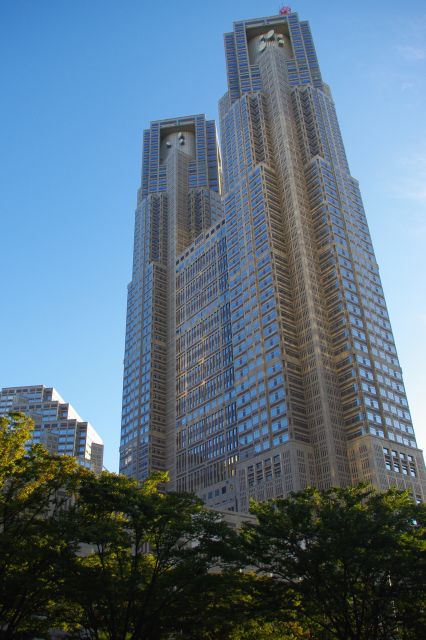 新宿で一番高い都庁を見上げる。緑と青空が気持ち良い。