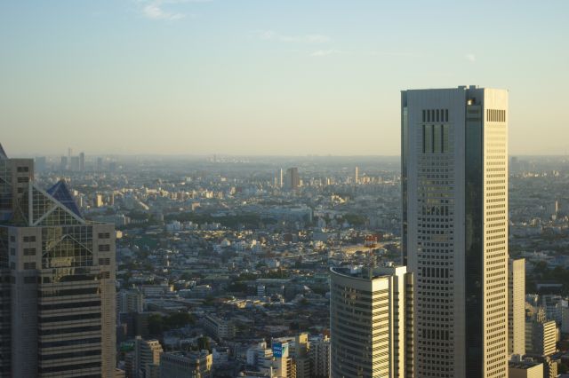 左奥には武蔵小杉の高層マンション群や横浜ランドマークタワーも顔を出す。