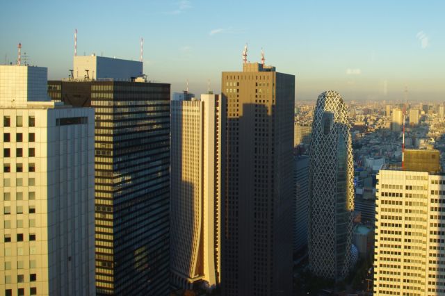 東側には夕陽を浴びる新宿副都心の高層ビル群が並ぶ。