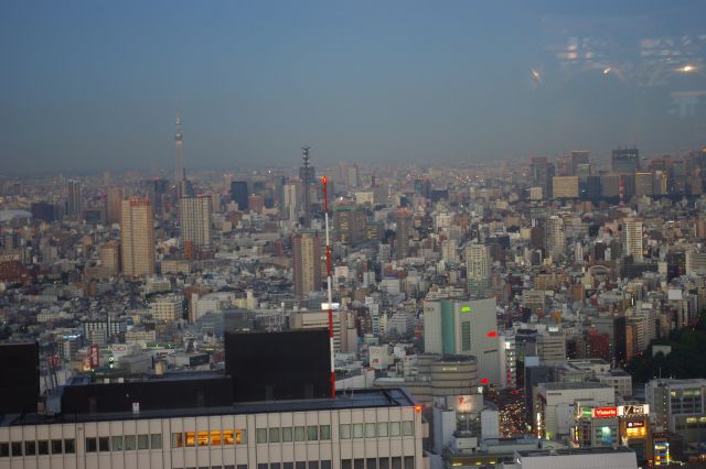 東京スカイツリー方面をズーム。遠くには千葉方面へと街が広がる。