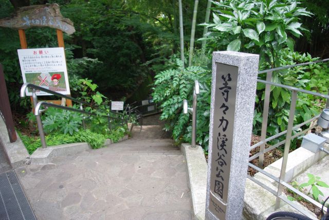 成城石井で曲がると、急に森林で覆われた風景が広がる。ここが渓谷の入口です。