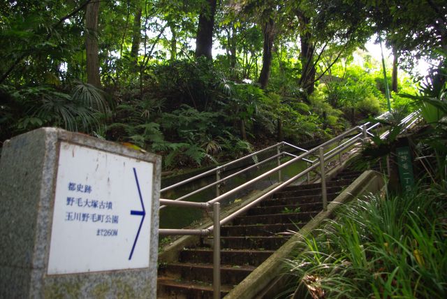 野毛大塚古墳方面へ上っていく階段。後で行くことにして渓谷内を進んでいきます。
