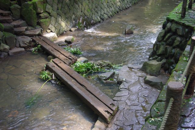 川が渡れる小さな板の橋。流れてきた植物が引っかかってますね(^^;)