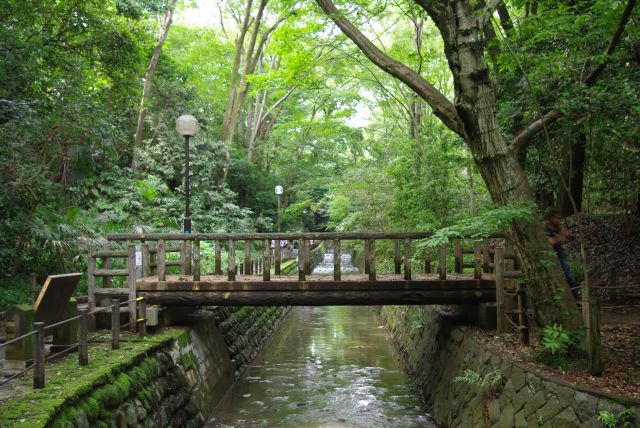 木の橋を渡り、横穴古墳へと進んでいきます。
