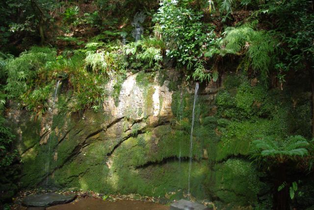 800年前から湧水していると伝えられる「不動の滝」。水は2匹の龍の口から出ている。この音が渓谷内に響く（轟く）ことから「とどろき」と名づけられたという。