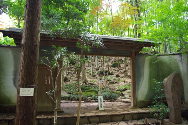 等々力渓谷の不動の滝の少し先に、日本庭園の入口があります。