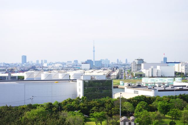 ほぼ真北側には開業直前の東京スカイツリーが！手前にはタンクや工場が広がる。