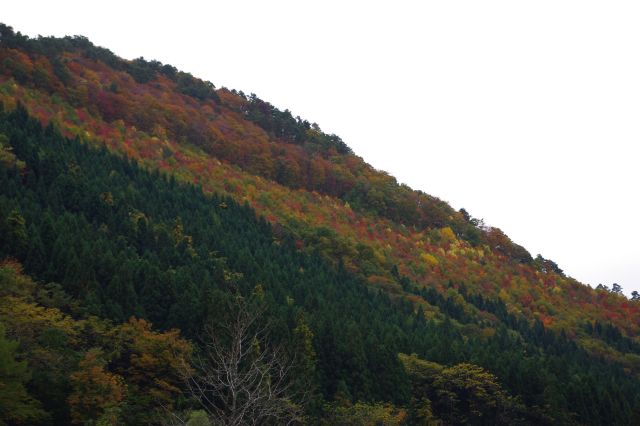 山々は緑・黄緑・黄色・オレンジ・赤と様々な鮮やかな色が混在する。