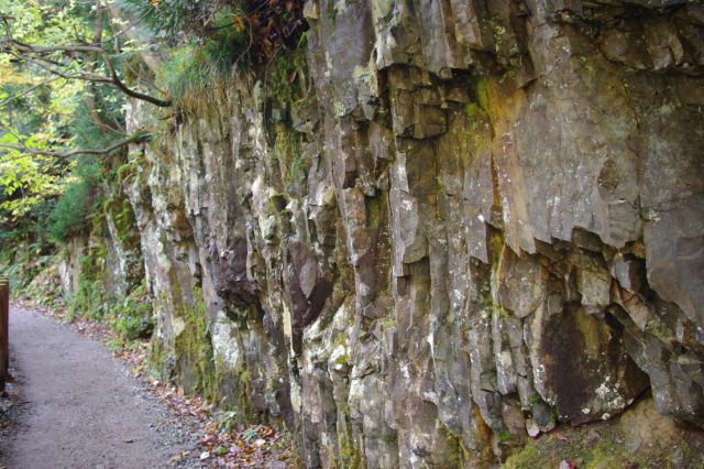 道の山側の岩肌は苔が生えたり雫や小さな水の流れがある場所があります。