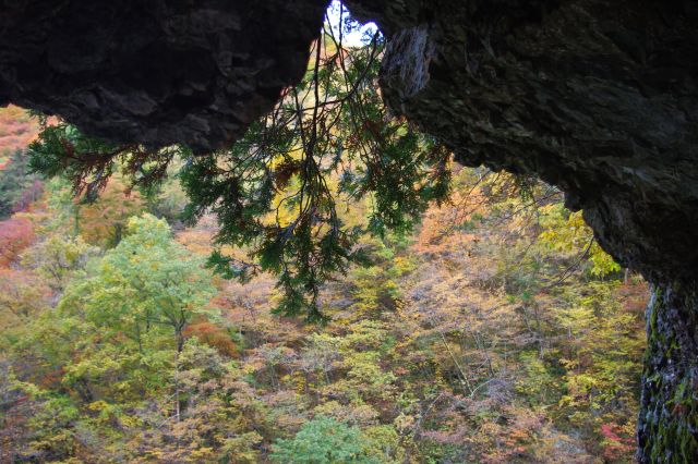 岩場が増え、洞窟のような岩のトンネルをいくつかくぐります。