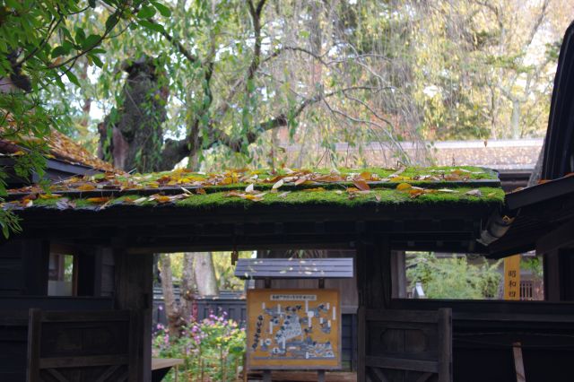 扉の屋根に生えた苔も雰囲気があります。