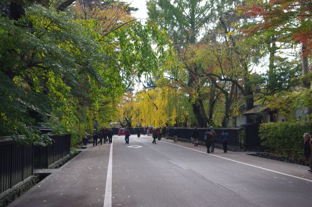 通りの様子。黒い塀と屋敷から通りにあふれる緑の葉の木々が癒される良い雰囲気。