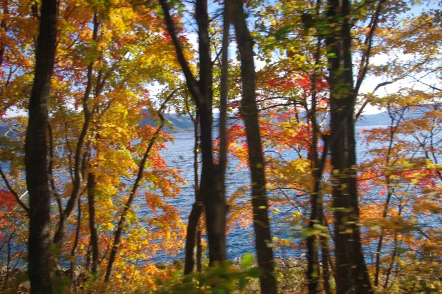 湖沿いに走ると鮮やかに色づいた紅葉が。