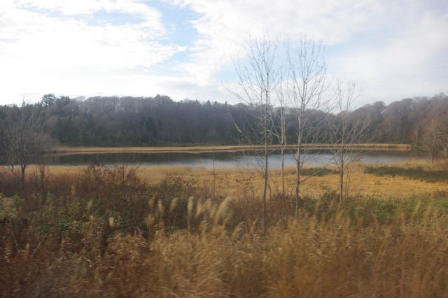 国道341号線から八幡平アスピーテラインへ。八幡平スキー場近くに大沼という沼があります。