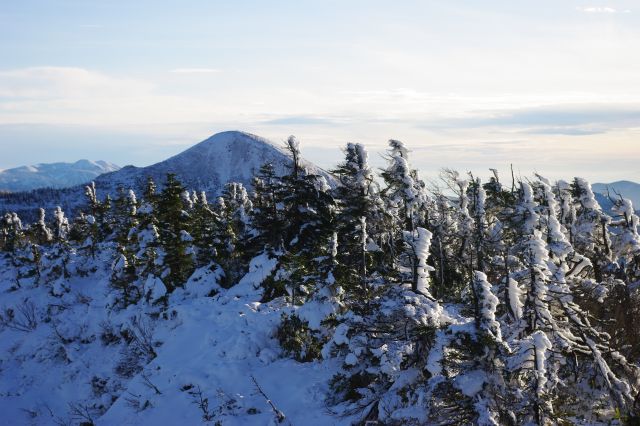 南側をズーム。樹氷群の先の畚岳（もっこだけ）と左奥には秋田駒ケ岳。