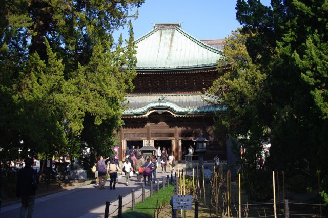 三門の先には重要文化財の仏殿。たくさんの人が進んでいきます。
