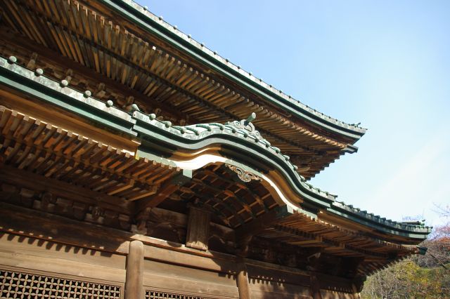 陽を浴びるきれいな仏殿の屋根。