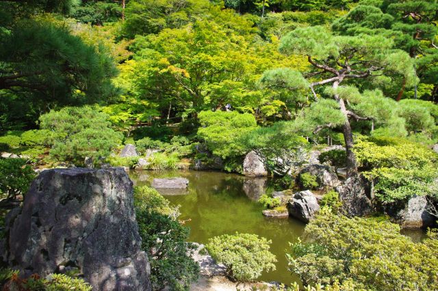 緑あふれる美しい日本庭園。池は錦鏡池（きんきょうち）。