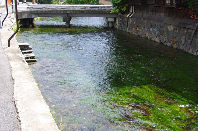 白川は琵琶湖疏水の１つで、祇園の方へ流れています。