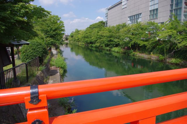 堀のようにまっすぐな琵琶湖疏水の水路に朱色の橋が架かります。
