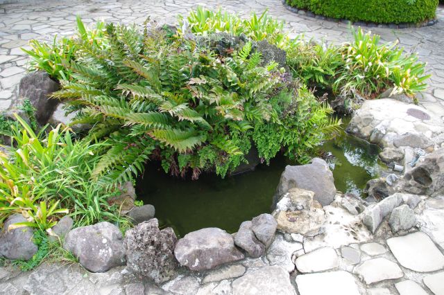 造成された様々な植物や小池があります。