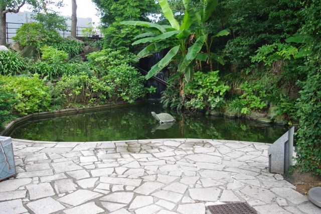 自由亭の前、亀の像のある池。