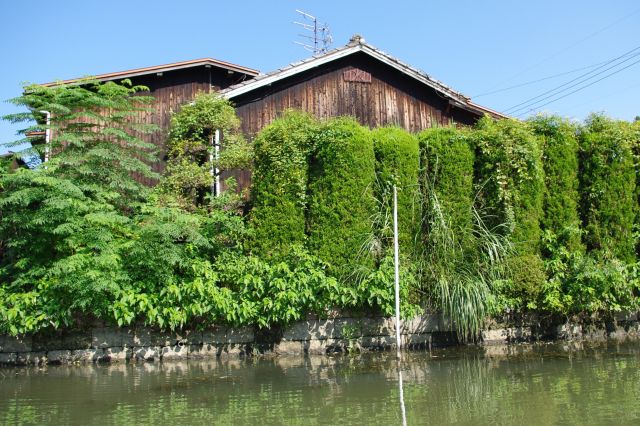 京都の伏見の酒蔵のような木造の趣のある建物。