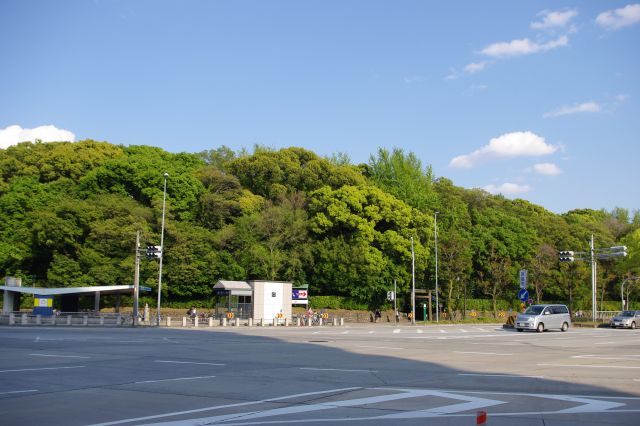 名城線「神宮西」駅真上の交差点。神宮側だけ緑でいっぱい。