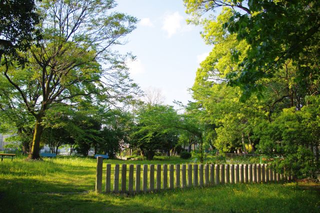 古墳周辺の緑あふれる公園、ひと気がなく静か。