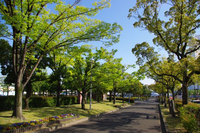 名港線「名古屋港」駅から地上に上がりガーデン埠頭地域へ。ライブイベントの爆音の横の心地よい緑の並木道を進む。