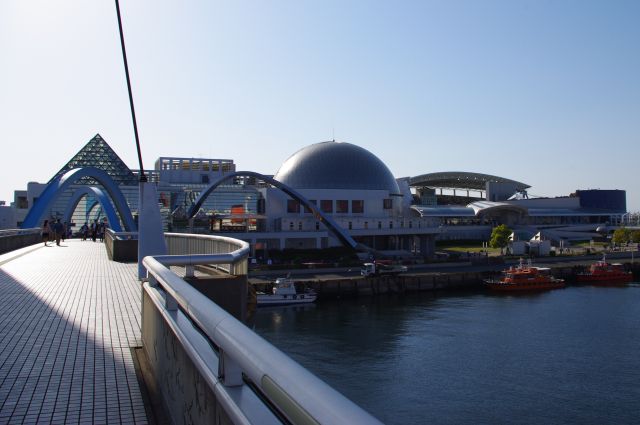 名古屋港水族館へと渡っていきます。