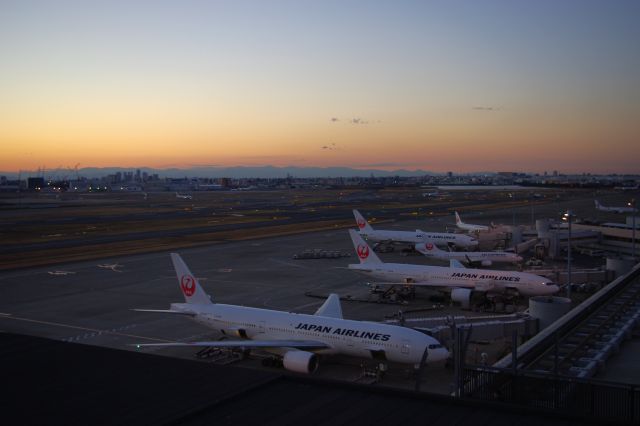 広範囲の夕焼け空を眺められるのは広大な敷地の空港ならでは。