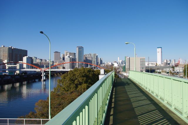 歩道橋上から天王洲アイル方面を眺める。高さがあり運河を挟むので広範囲が見渡せます。川と平行するのは京浜運河緑道公園。