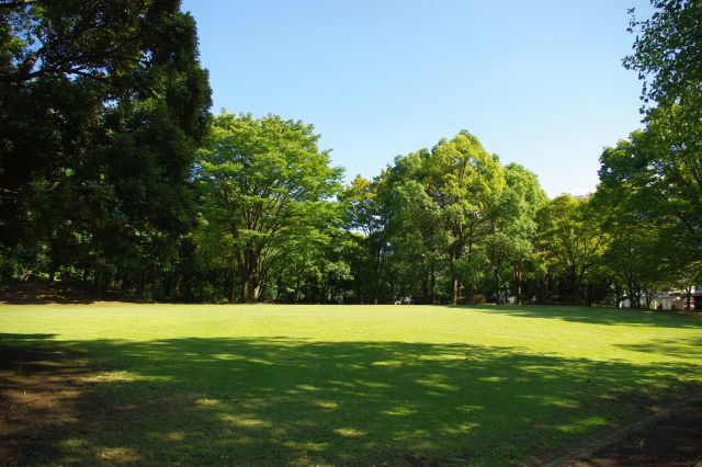 公園内には小さい芝の広場も。