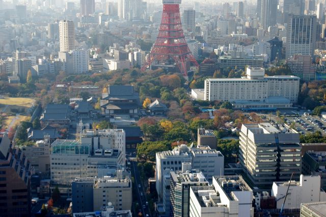 東京タワーの足元に増上寺。