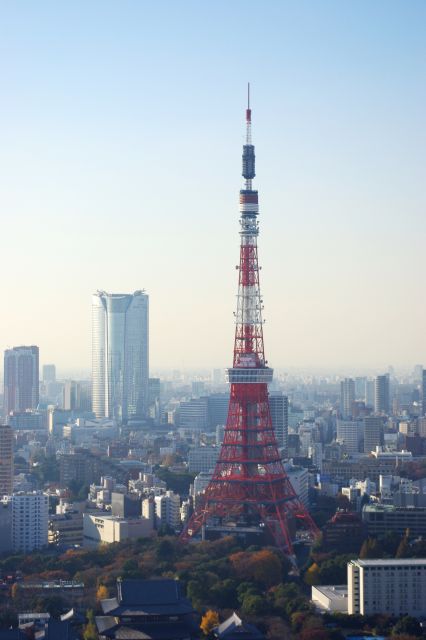 陸側の一番の見所は東京タワー。